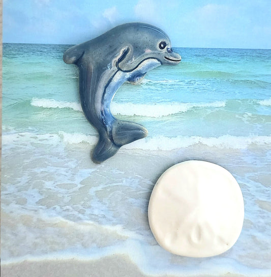 Dolphin & Sand Dollar Magnet Set