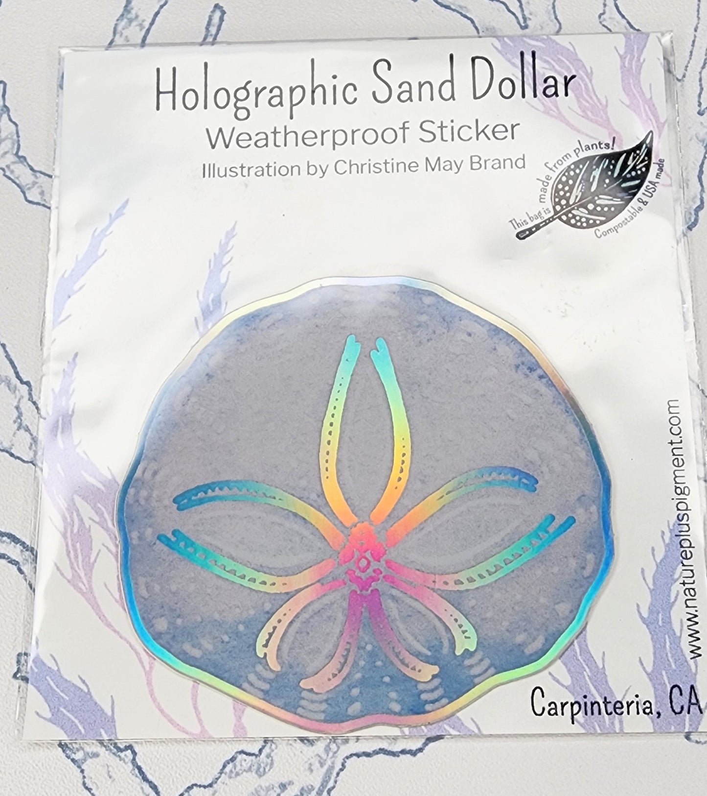 Holographic Sand Dollar Sticker
