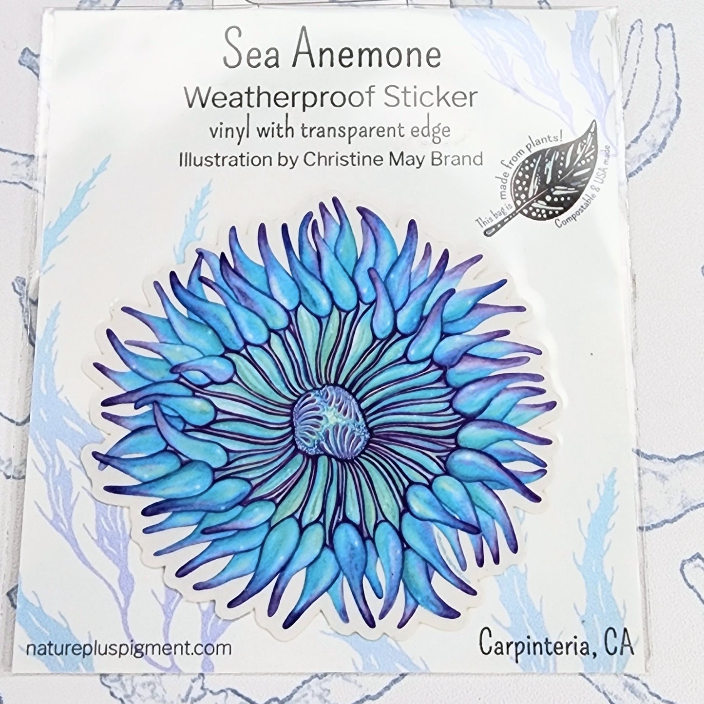 Colorful Sea Anemone Sticker