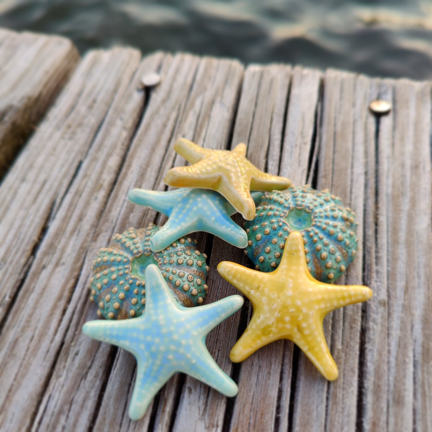 Starfish Magnet
