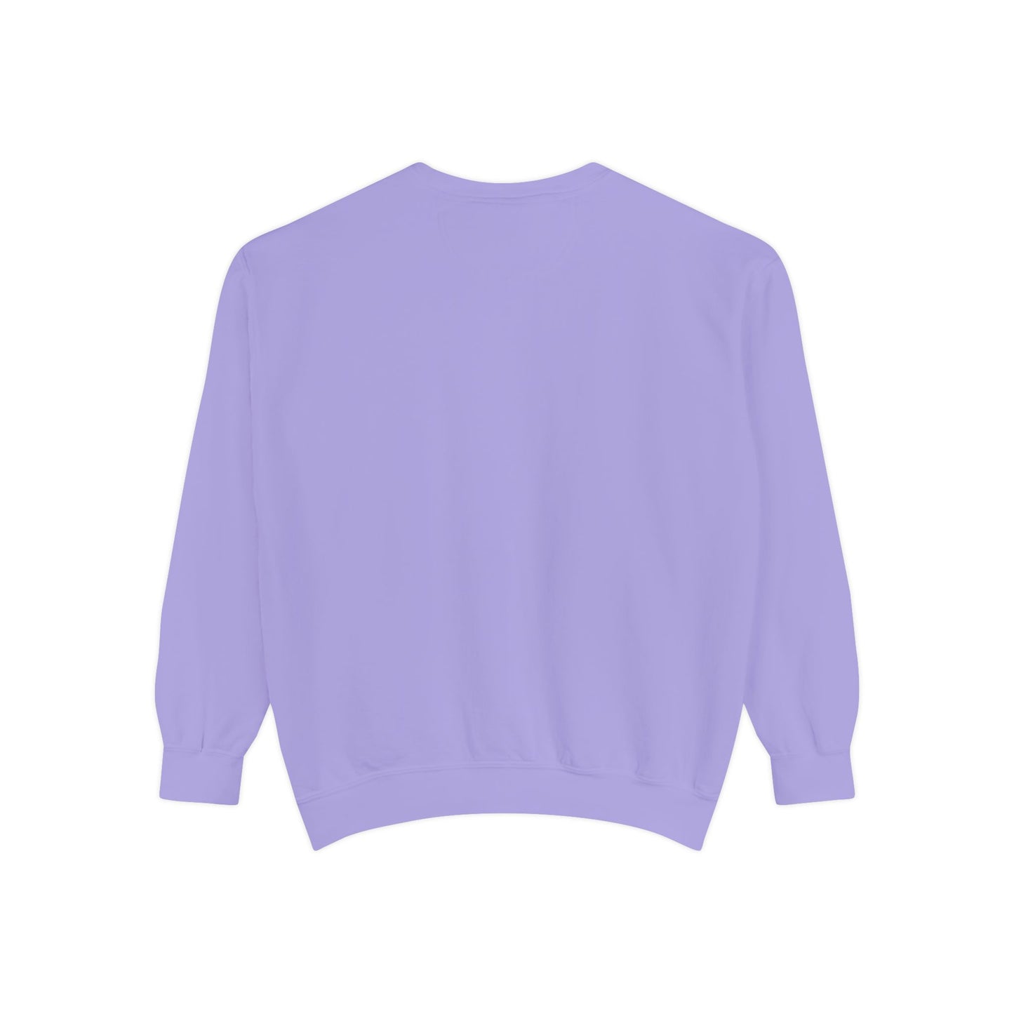 Pickleball Sweatshirt – Palm Beach Pickleball Club