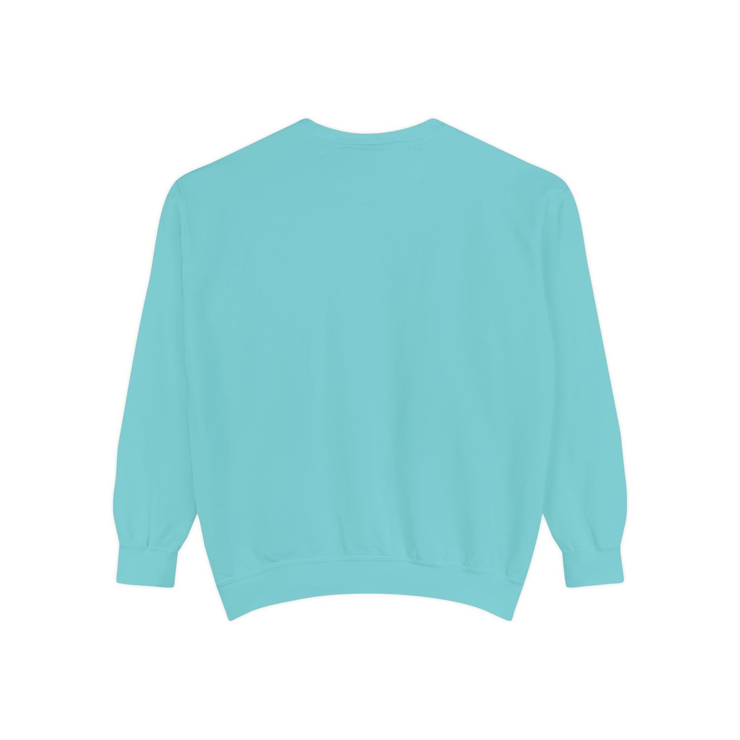 Pickleball Sweatshirt – Palm Beach Pickleball Club