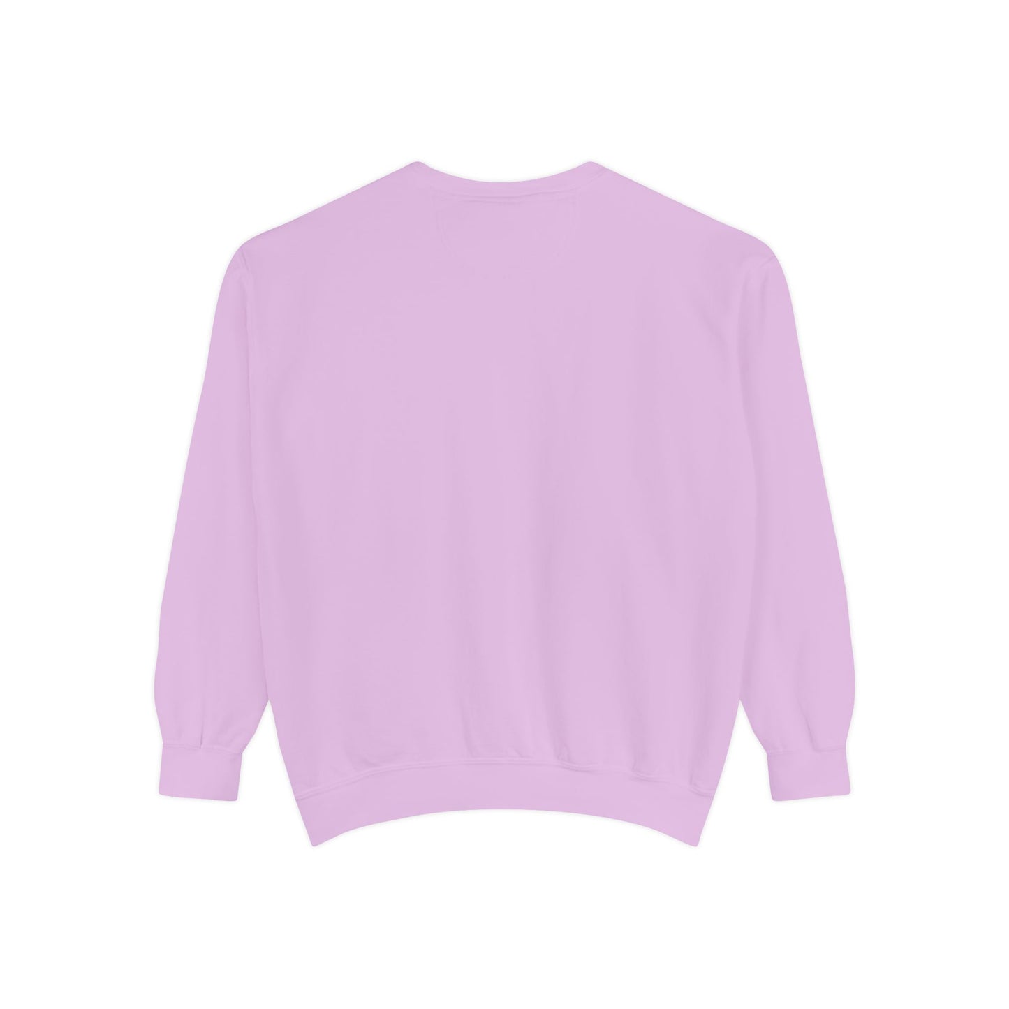 Pickleball Sweatshirt – Palm Beach Pickleball Club
