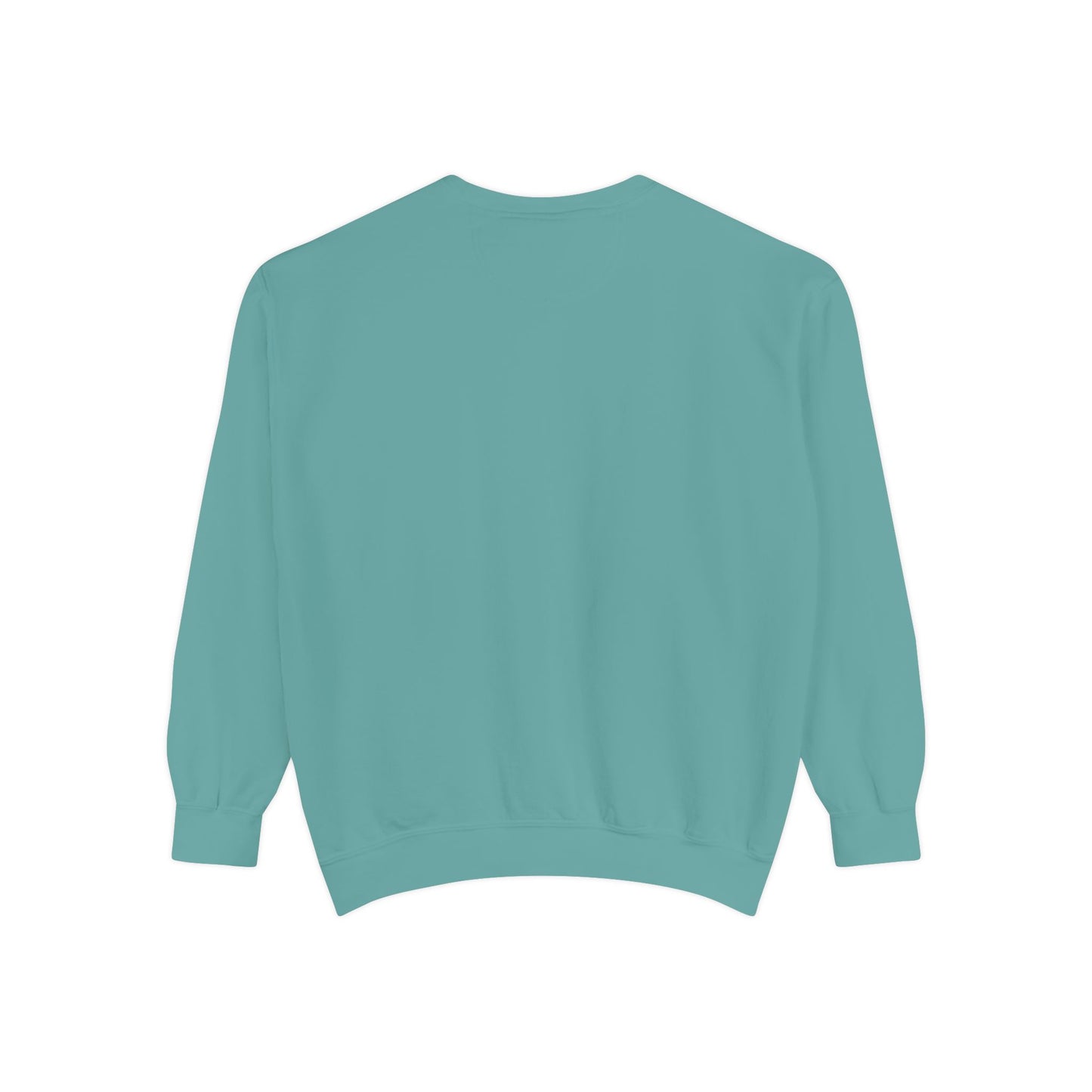 Pickleball Sweatshirt – Palm Beach Pickleball Club