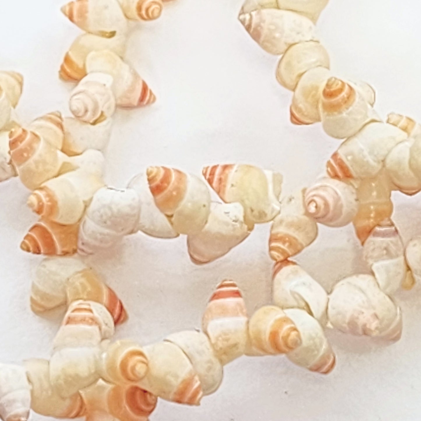Dainty vintage single strand long seashell necklace