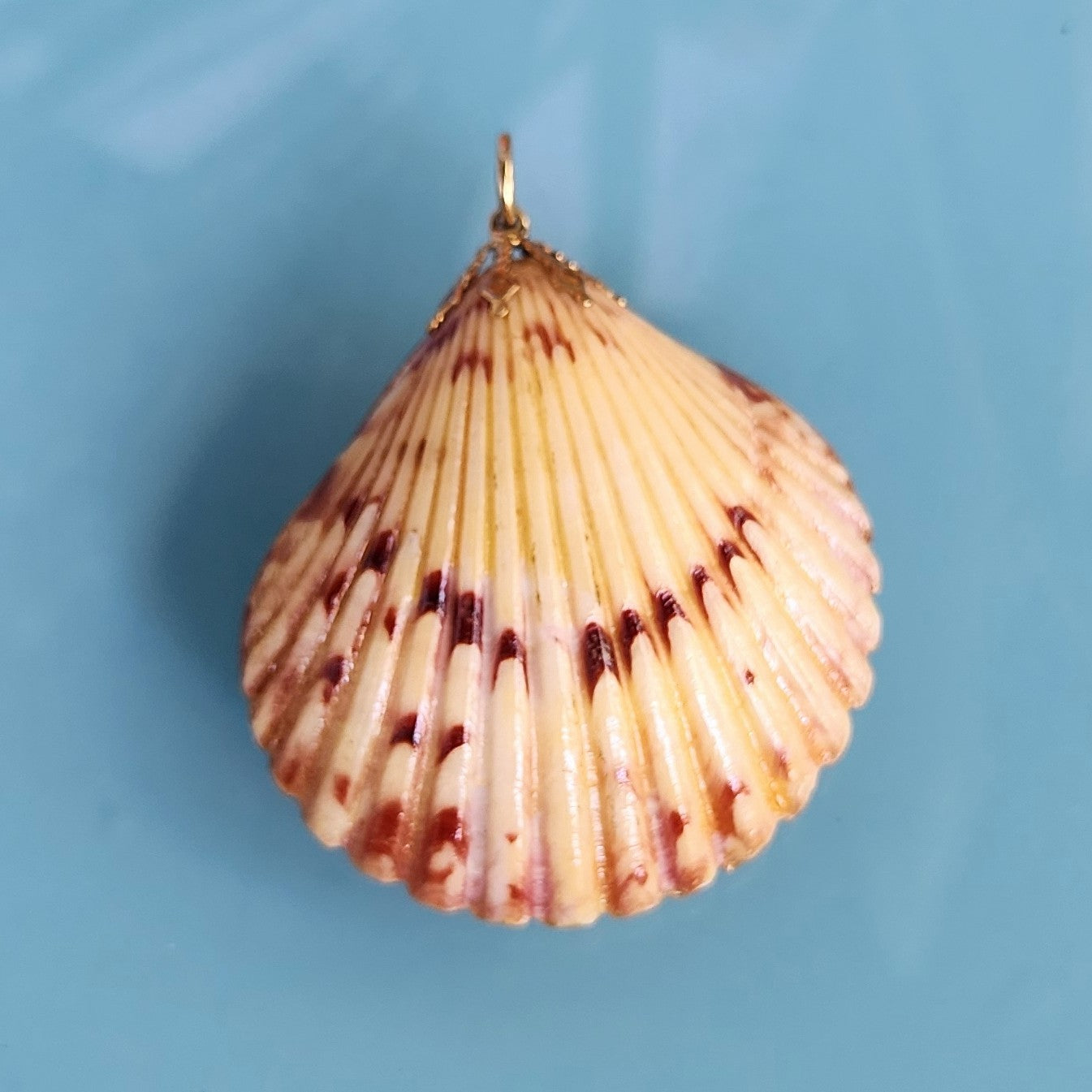 Vintage Boho Double Sided Scalloped Seashell Pendant