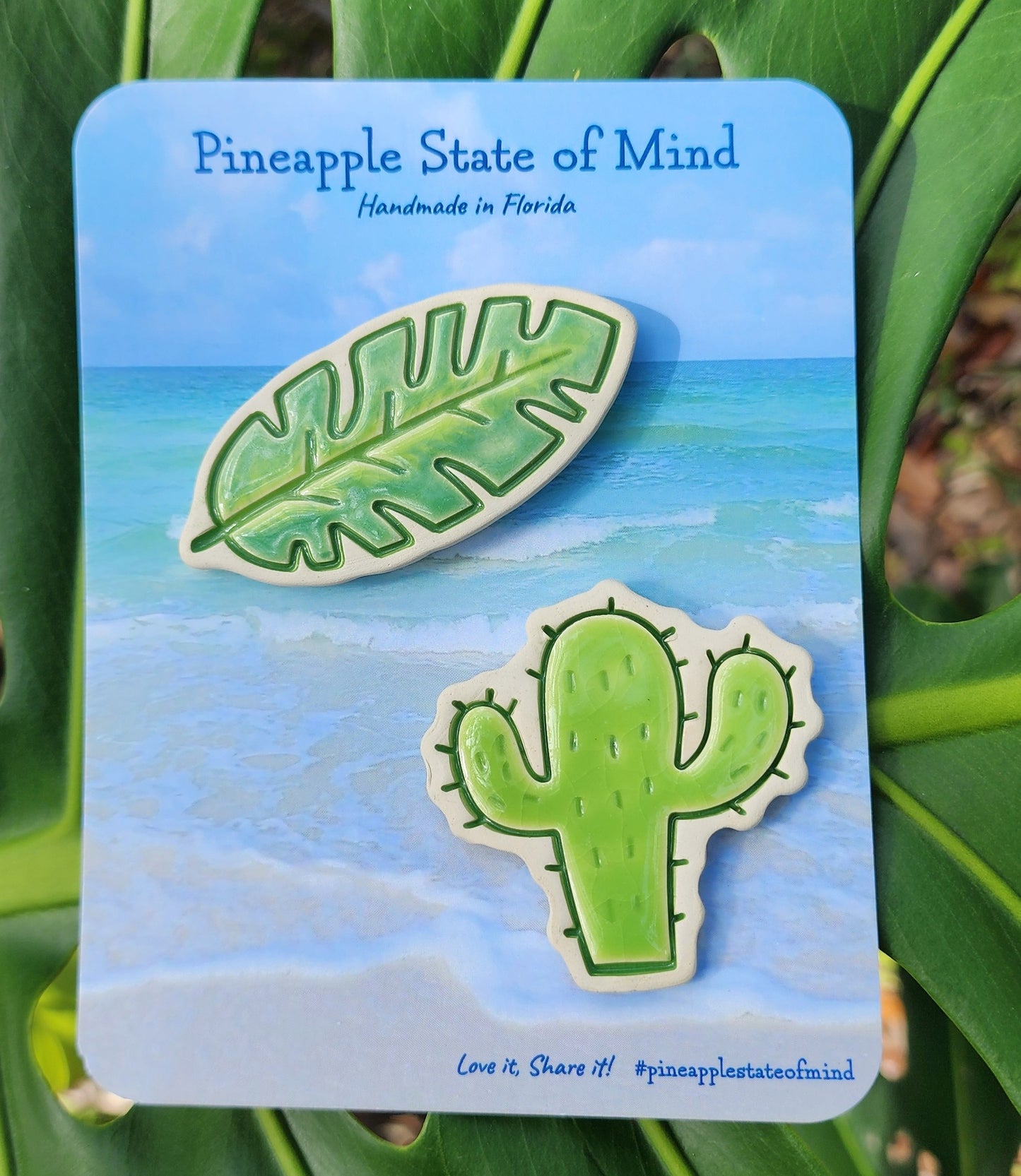 Ceramic Refrigerator Magnets, Cactus & Green Leaf Plant Lover Magnet Set
