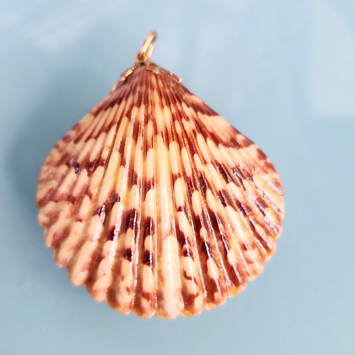 Vintage Boho Double Sided Scalloped Seashell Pendant