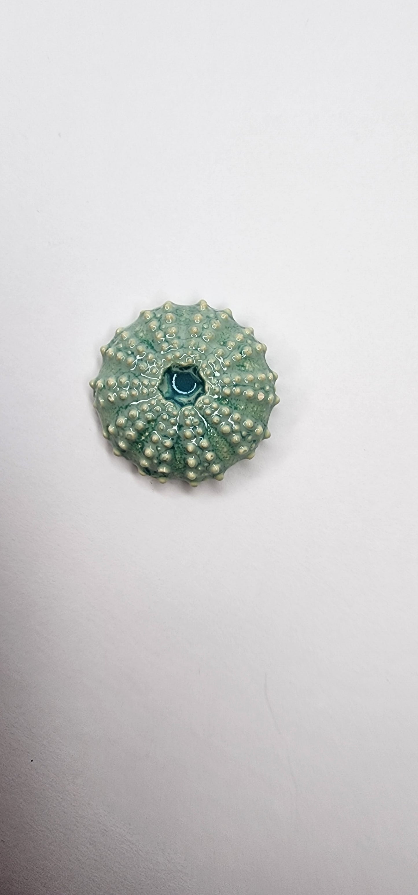 Sea Urchin Magnet