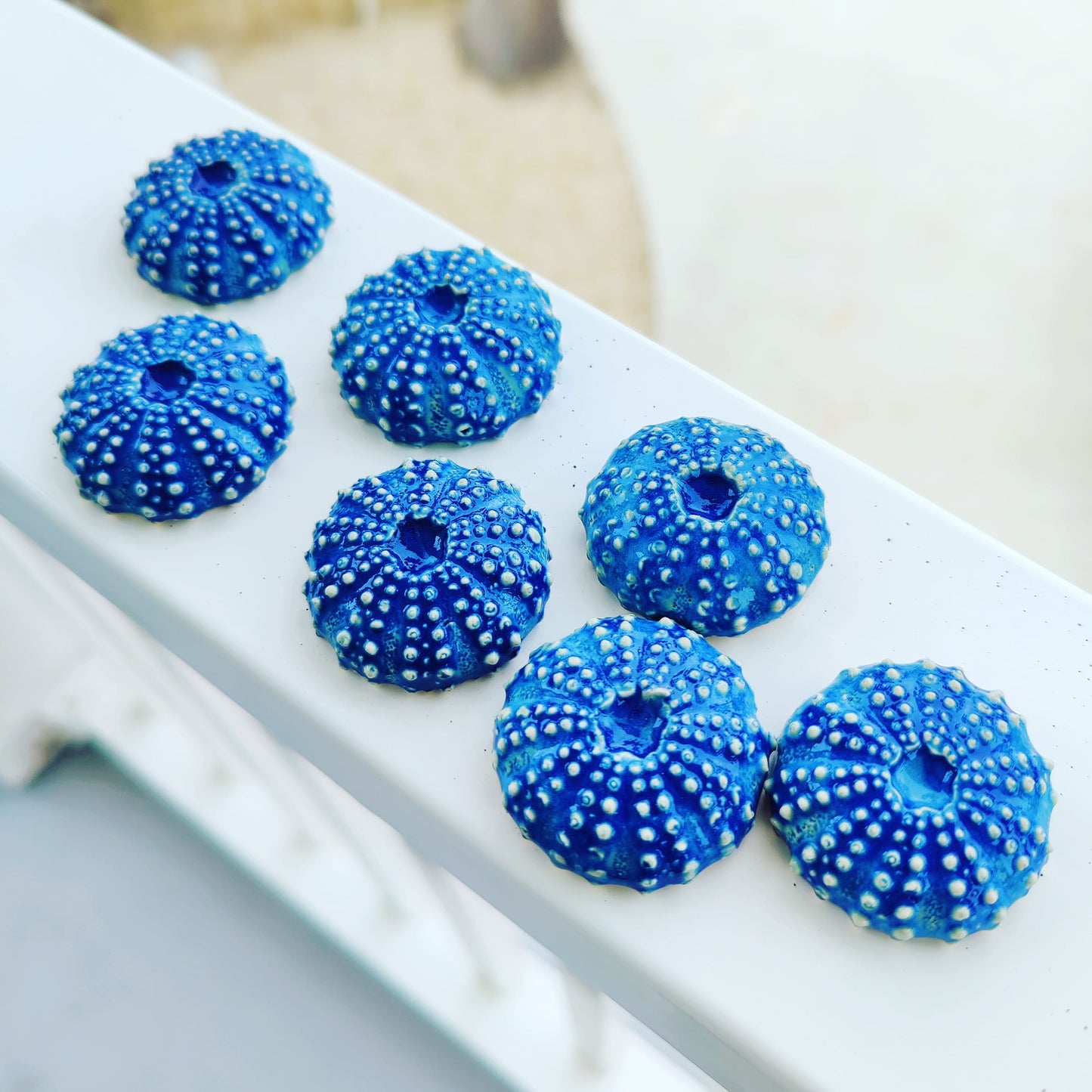 Sea Urchin Magnet